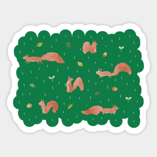 Red Squirrels Sticker